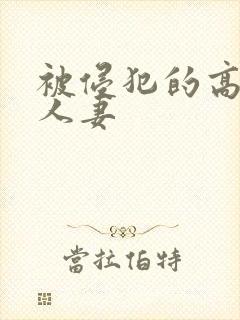 被侵犯的高贵美人妻