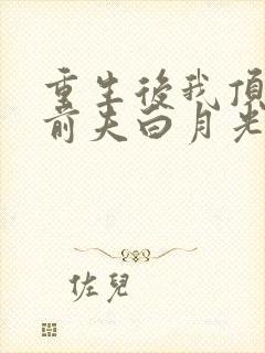 重生后我顶替了前夫白月光原著作者