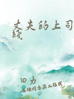 丈夫的上司 在线