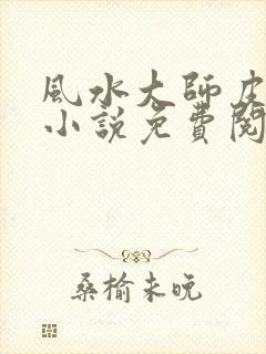 风水大师皮剑青小说免费阅读