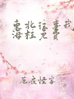 东北往事我叫刘海柱免费
