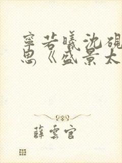 宁若曦沈砚舟黎思《盛景太匆匆》
