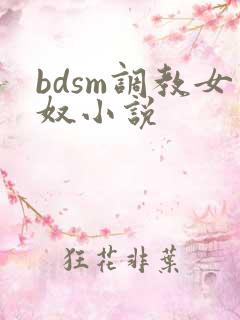 bdsm调教女奴小说