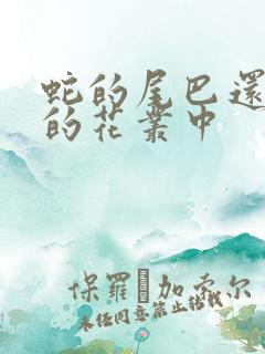 蛇的尾巴还在我的花丛中