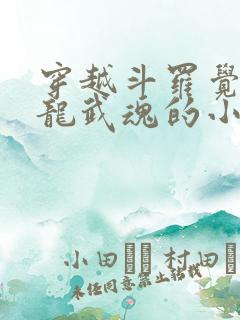 穿越斗罗觉醒黑龙武魂的小说