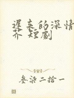 迟来的深情如草芥 短剧