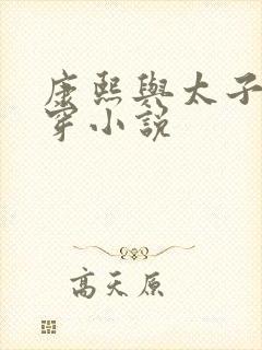 康熙与太子妃清穿小说