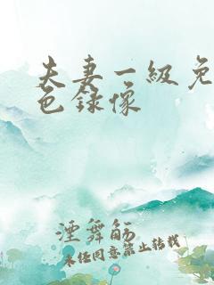 夫妻一级免费黄色录像