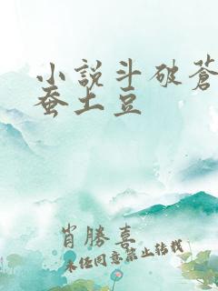 小说斗破苍穹天蚕土豆