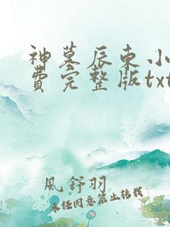 神墓辰东小说免费完整版txt