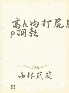 高h肉打屁股sp调教