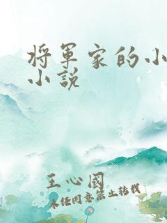 将军家的小公子小说