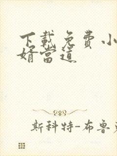 下载免费小说赘婿当道