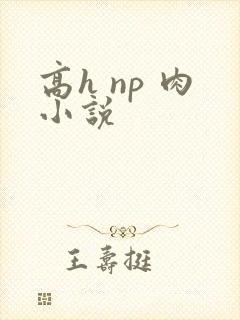高h np 肉小说