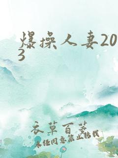 爆操人妻2023