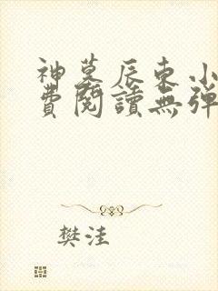 神墓辰东小说免费阅读无弹窗