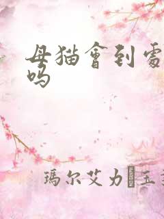 母猫会到处乱尿吗