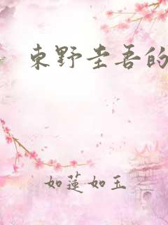 东野圭吾的小说