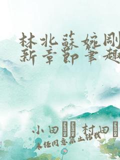 林北苏婉刚刚更新章节笔趣阁