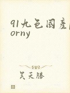 91九色国产porny