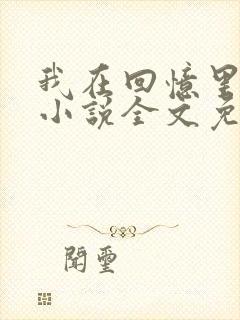 我在回忆里等你小说全文免费阅读