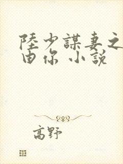 陆少谋妻之婚不由你 小说