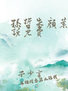 孙哲朱颜叶巧小说免费