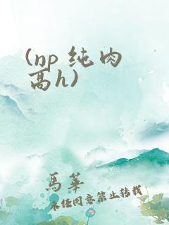 (np 纯肉 高h)