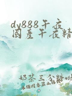 dy888午夜国产午夜精品
