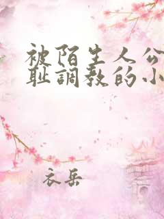 被陌生人公开羞耻调教的小说