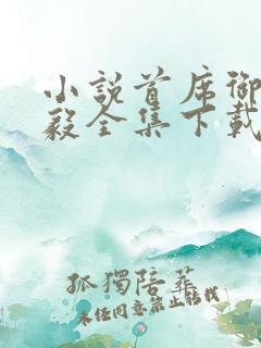 小说首席御医曾毅全集下载