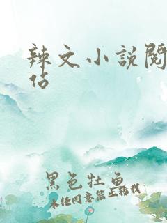 辣文小说阅读网站