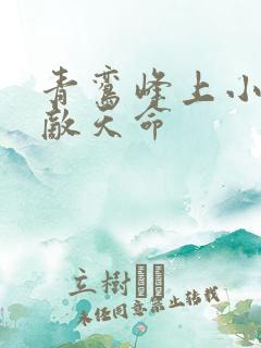 青鸾峰上小说无敌天命