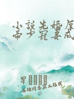 小说先婚厚爱:帝少宠妻成瘾