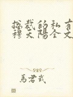 总裁的私有宝贝穆天阳全文阅读免费