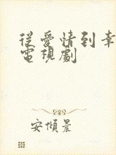 从爱情到幸福 电视剧
