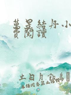 万星结丹小说免费阅读