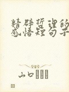 精辟哲理的人生感悟短句子