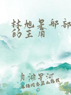 林旭是哪部小说的主角