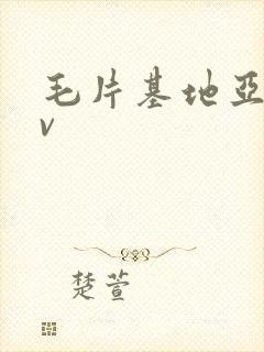 毛片基地亚洲av