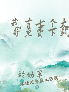 我有七个大佬哥哥免费下载