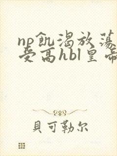 np饥渴放荡总受高hbl皇帝攻