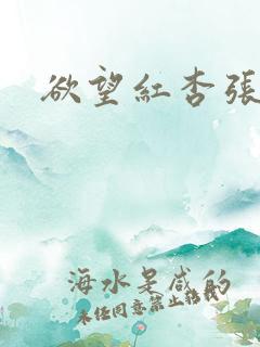 欲望红杏张雅婷
