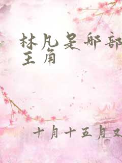 林凡是哪部小说主角