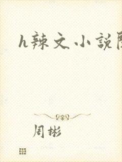 h辣文小说阅读