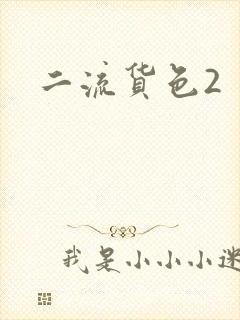 二流货色2