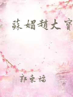 苏媚赵大宝全文