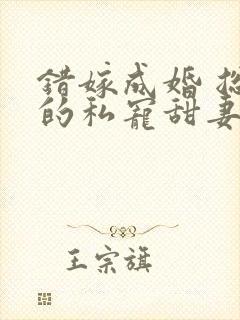 错嫁成婚 总裁的私宠甜妻