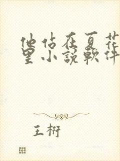 他站在夏花绚烂里小说软件