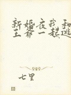新婚夜我和病娇王爷一起逃婚苏清染